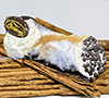 Gourmet Cannoli covered with Dark Chocolate