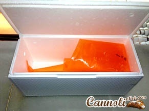 Ricotta di pecora al cioccolato 1 kg